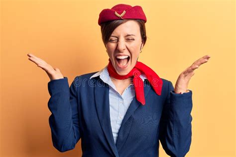 230 Stewardess Funny Stock Photos Free And Royalty Free Stock Photos