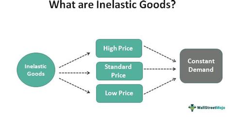 Inelastic Goods Definition Explained Examples Vs Inelastic