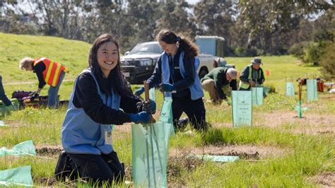 parks victoria volunteer strategy survey parks victoria volunteer