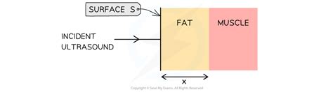 Attenuation Of Ultrasound In Matter CIE A Level Physics Revision