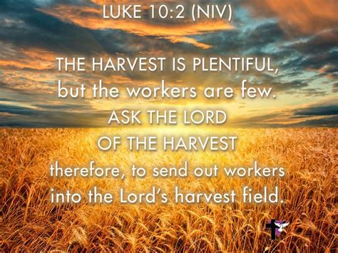 The Harvest Is Plentiful But The Workers Are Few Ask The Lord Of The