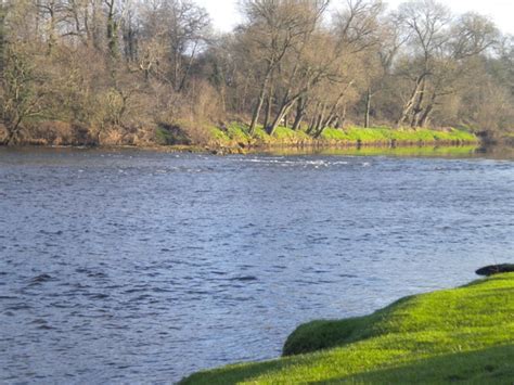River Eden Fishings On The River