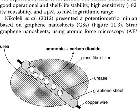 3 Scheme Of The Potentiometric Urea Biosensor Download Scientific