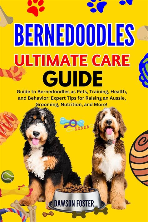 Bernedoodle Ultimate Care Guide Guide To Bernedoodles As Pets