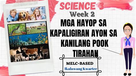 Mga Hayop Sa Kapaligiran Ayon Sa Kanilang Pook Tirahan Science 3 Ikalawang Quarter Week 4