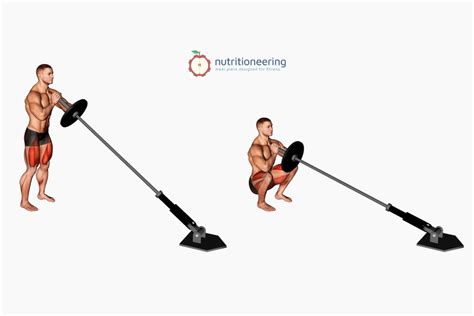 Top 10 Landmine Leg Exercises For Lower Body Workouts Nutritioneering