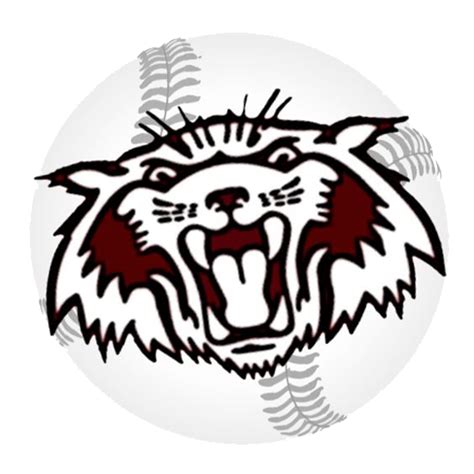 College – Plano Wildcats Baseball