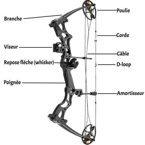 Comment D Buter Le Tir L Arc Conseils Archerie