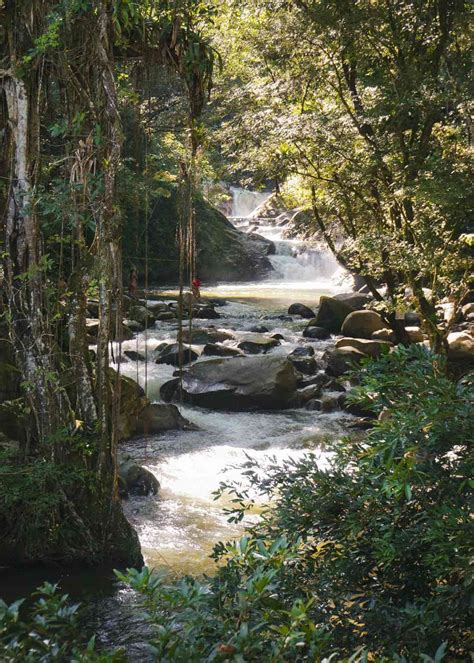 Qué hacer en Minca y cómo llegar desde Santa Marta