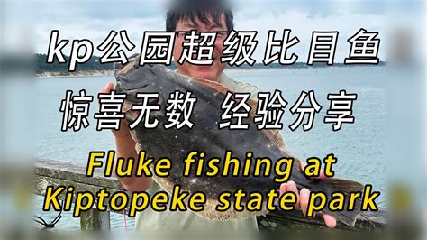 Kp Fluke Fishing At Kiptopeke State Park Youtube