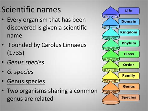 How To Type Scientific Names