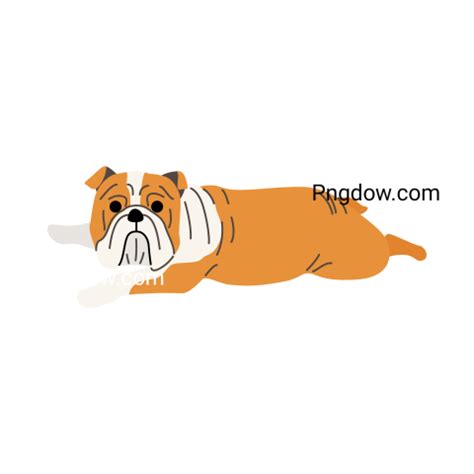 Bulldog Png image with transparent background for free, Bulldog, (75) - Photo #4844 - Pngdow ...