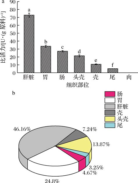 凡纳滨对虾几丁质酶的活性分布及其短波紫外线照射激活作用