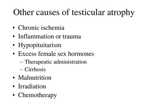 Male Genital System Ppt Download