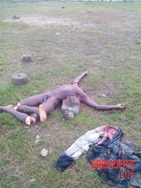 Naked And Dismembered Man Found In Meadow Gorecenter