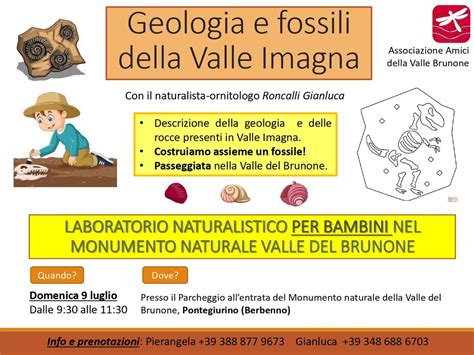 Geologia E Fossili Della Valle Imagna Infopoint Valle Imagna Eventi