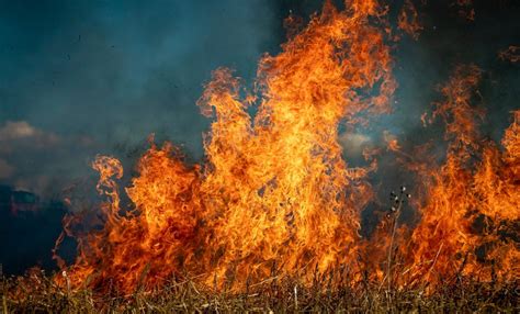 Desalojan A 25 Mil Personas Por Incendios Forestales Descontrolados En