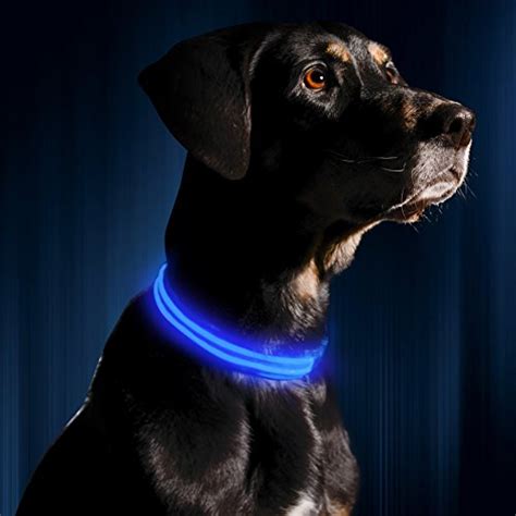 The Best Glow In The Dark Led Dog Collars And Leashes Woof Whiskers