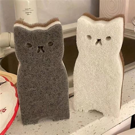 Ensemble De Ponges De Cuisine Mignonnes Pour Chat Tpu Pais Et