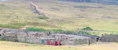 Les Masai Les Tribus De La Tanzanie Masai Tanzania Emotion Safaris