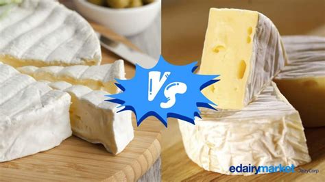 Brie Vs Camembert 7 Principais Diferenças Edairy News Brasil