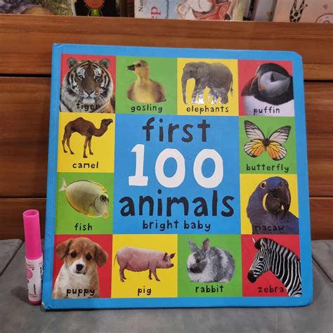 Priddy First 100 Animals Realistic Pictures Extra Large Book Like