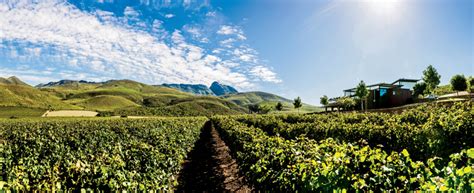 Jakkalsvlei Private Cellar In South Africa International Property