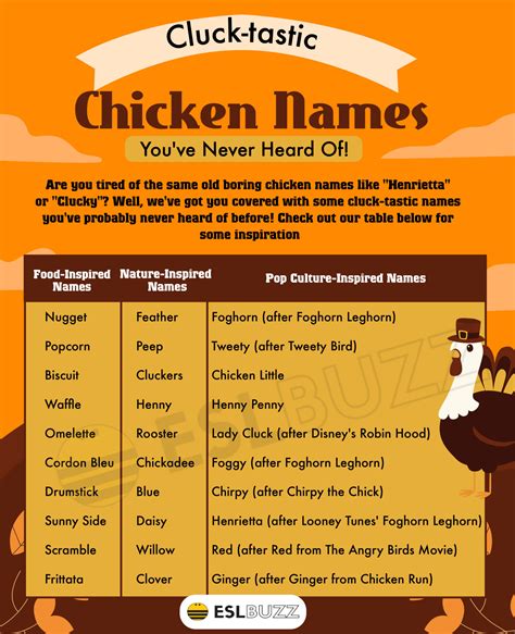 Chicken Names Fun And Creative Ideas For Your Feathered Friends ESLBUZZ