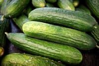 Can Cucumbers Grow In Shade Things To Know Greenupside