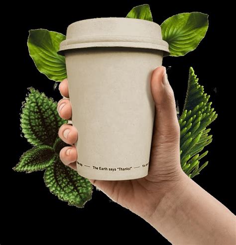 Ecological Disposable Cups No Plastic