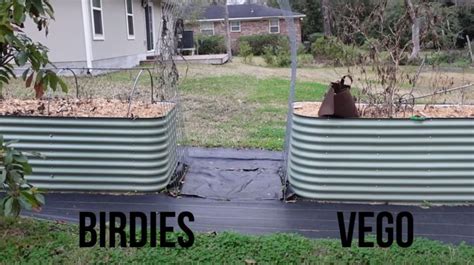 Birdies vs Vego 11 Month Review | MORE of Your NEW Questions Answered on Metal Raised Garden ...