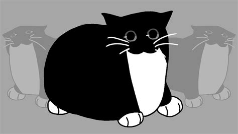 Maxwell Cat Youtube