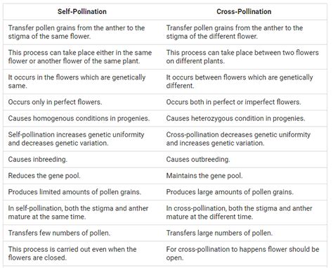 Difference Between Cross Pollination And Self Pollination Edurev