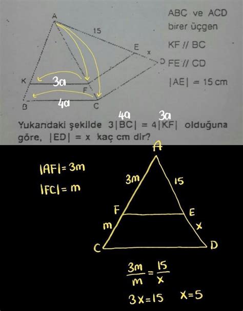 9 sinit üçgenler sorular ektedir İslemleriyle cevaplarsaniz sevinirim