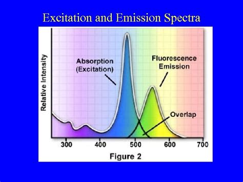 Fundamentals Of Fluorescence Microscopy E D Salmon University