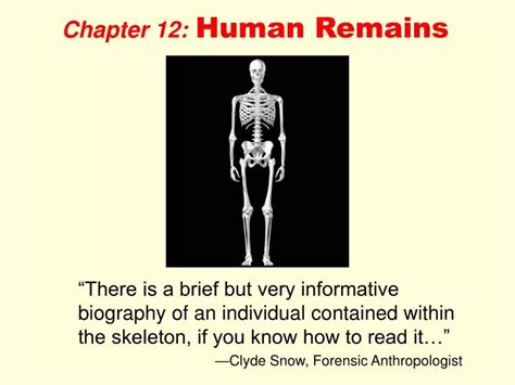 Ppt Chapter 12 Human Remains Powerpoint Presentation Free Download Id 824996