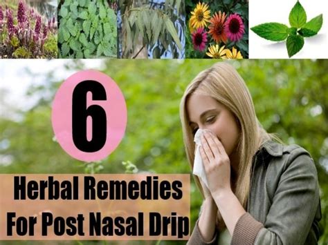 6 Effective Herbal Remedies For Post Nasal Drip