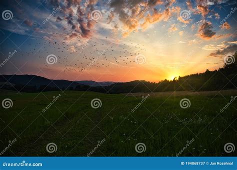 Sunset Over A Large Meadow The Sun Sets Behind The Trees In The Forest