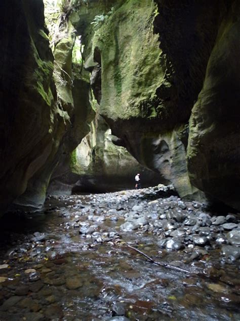 Patuna Chasm – Wellington Tramping and Mountaineering Club