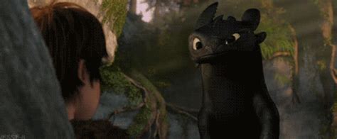 Toothless and Hiccup Gif by MehMorgan on DeviantArt