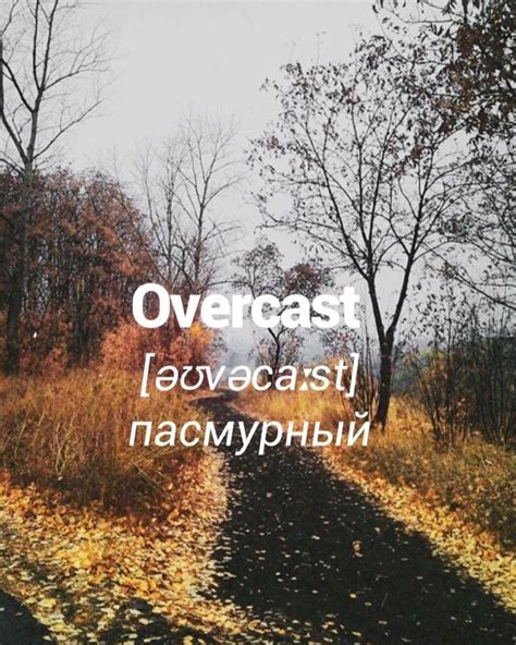 Английский с озвучкой в Instagram: «Пример: Today is an overcast day ...