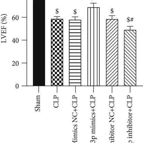 Overexpression Of MiR 214 3p Attenuates Myocardial Injuries In Septic