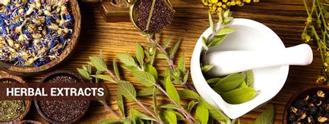 Herbal Extracts Manufacturer Supplier Exporter In India Phyto Chemical