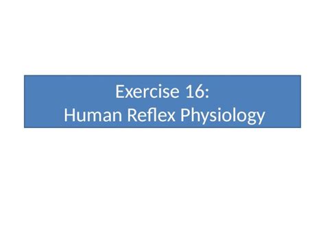 PPTX Exercise 16 Human Reflex Physiology The Reflex Arc 1 Reflex