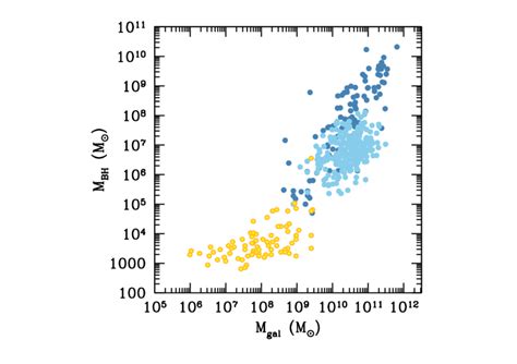 Bh Mass Versus Galaxy Stellar Mass Dark And Light Blue Points Are Download Scientific Diagram