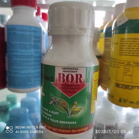 Perekat Perata Dan Penembus Prima Bor 250 Ml Lazada Indonesia