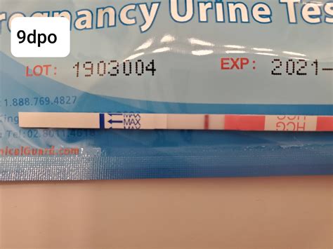 9 dpo BFN on Clinicalguard again : TFABLinePorn