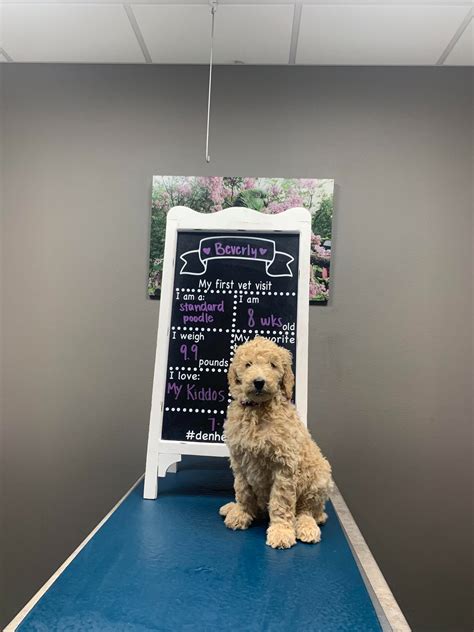 The den herder discovery reveals a surprising natural phenomenon 14