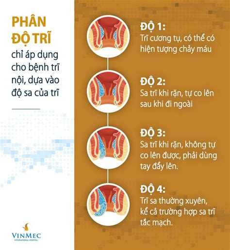 Tổng Hợp Những điều Bạn Cần Biết Về Bệnh Trĩ Nội Vinmec