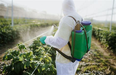 Pesticide Exposure Are Your Workers Protected Liberty Safety